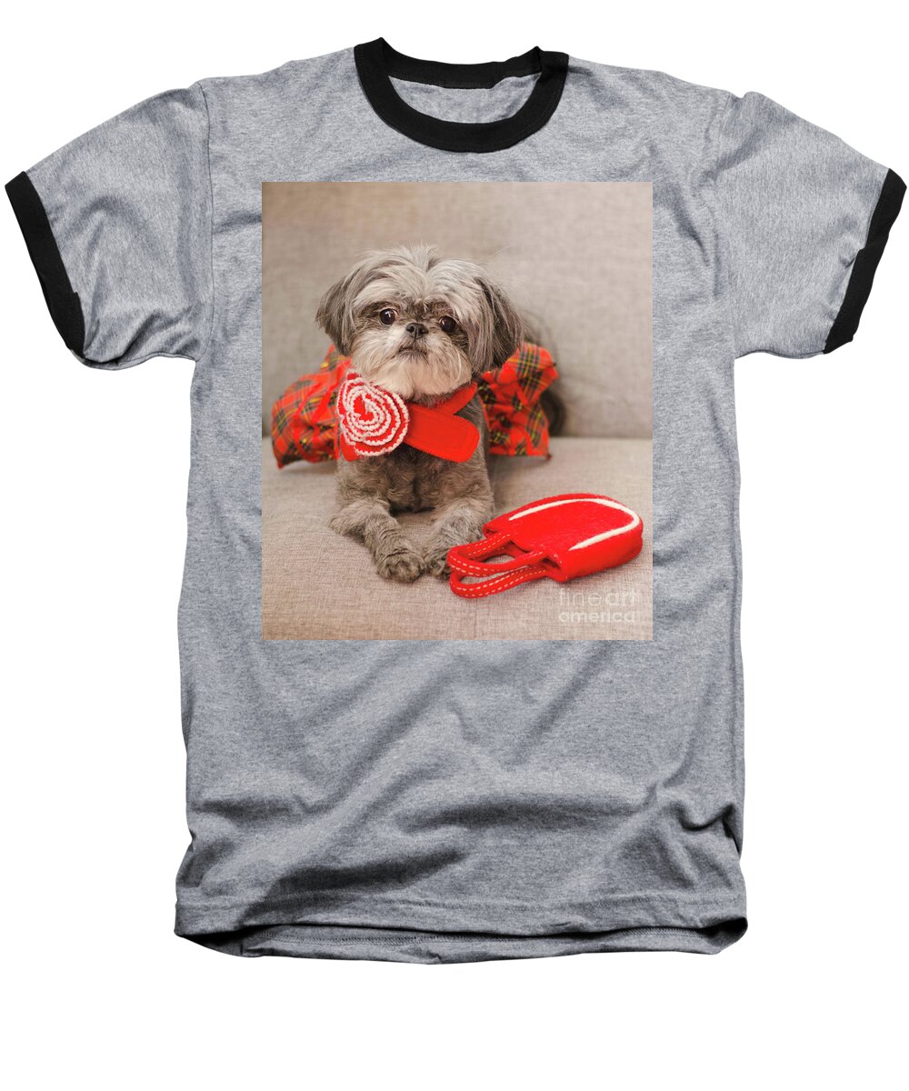 Dog Photography Baseball T-Shirt featuring the photograph Scarlett and Red Purse by Irina ArchAngelSkaya