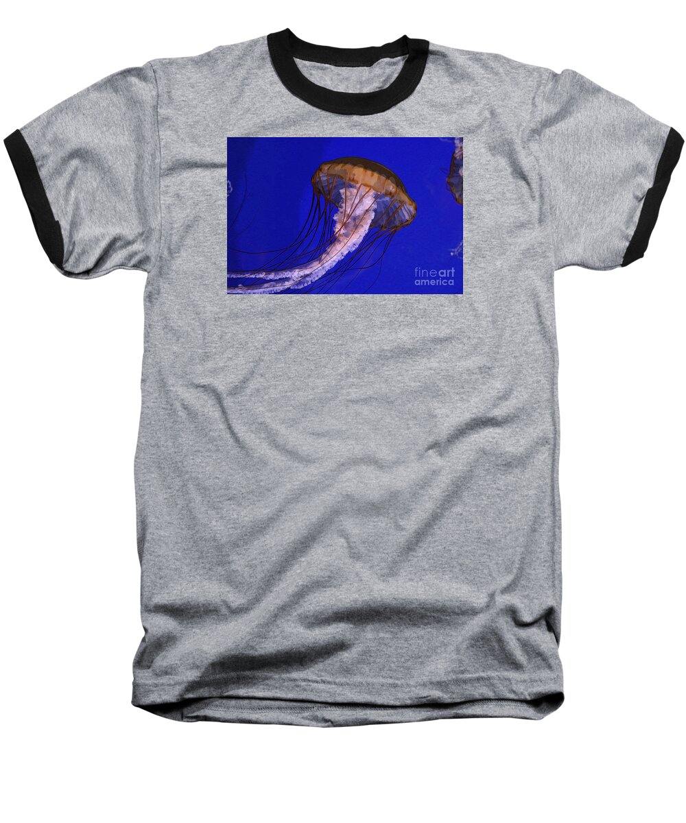 Jellyfish Baseball T-Shirt featuring the photograph Sea Jelly by Jeanette French