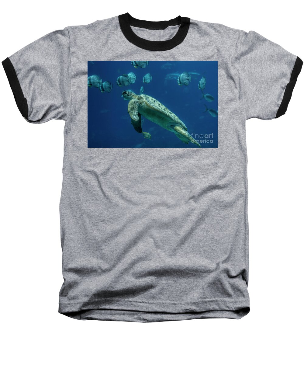 Sea Turtle Baseball T-Shirt featuring the photograph Sea Turtle by Barbara Bowen
