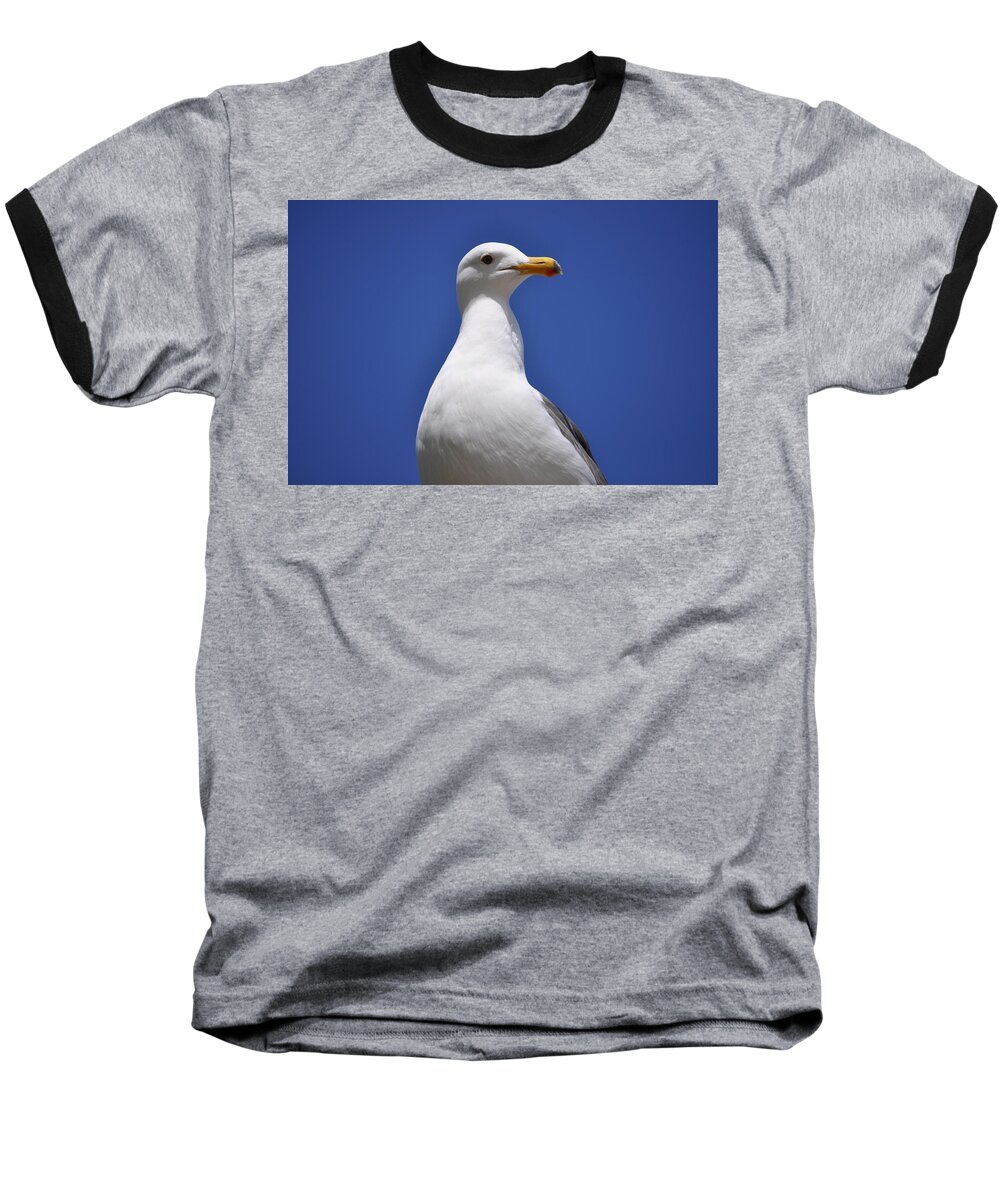 Mission Bay Baseball T-Shirt featuring the photograph Seagull by Bridgette Gomes