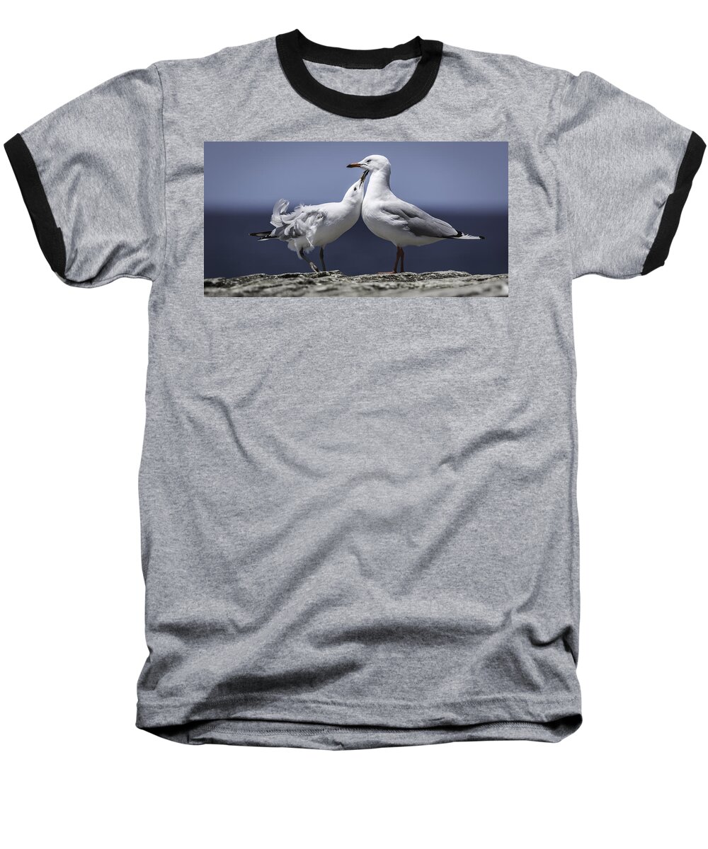Seagulls Baseball T-Shirt featuring the photograph Seagulls by Chris Cousins