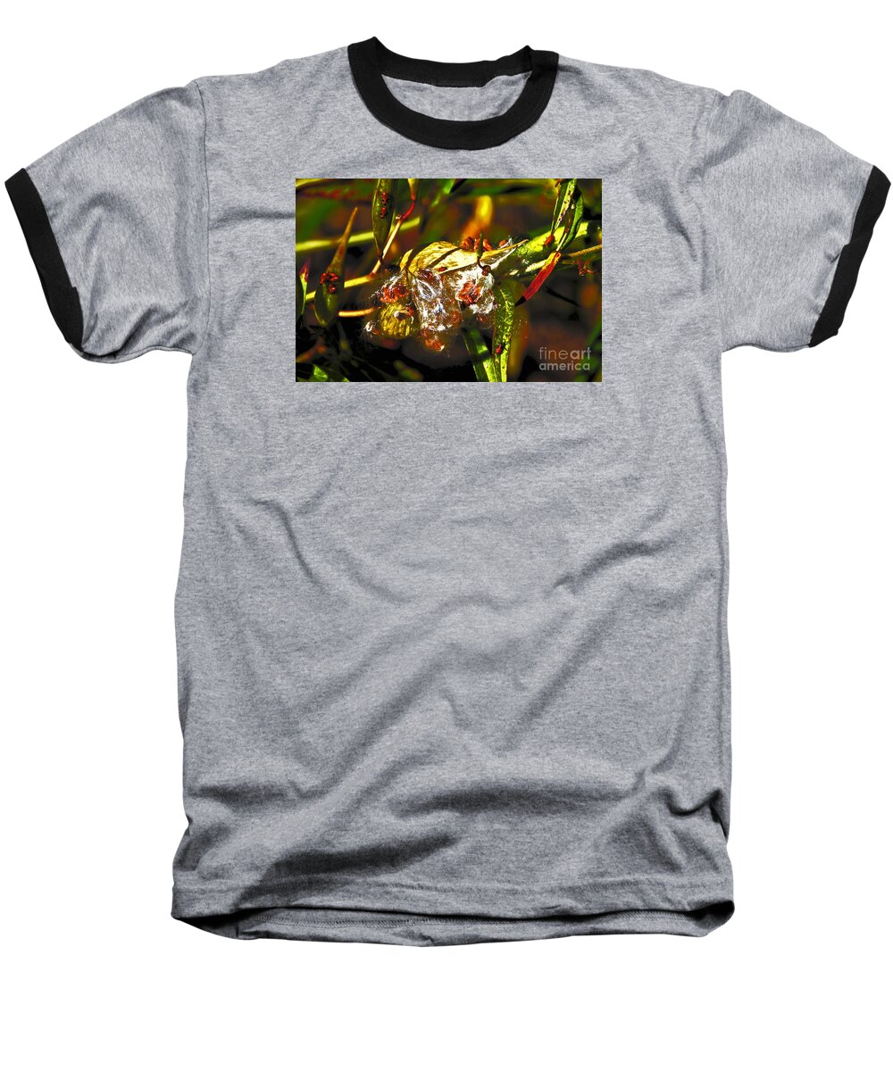  Baseball T-Shirt featuring the photograph Seed Pod Oopening by David Frederick