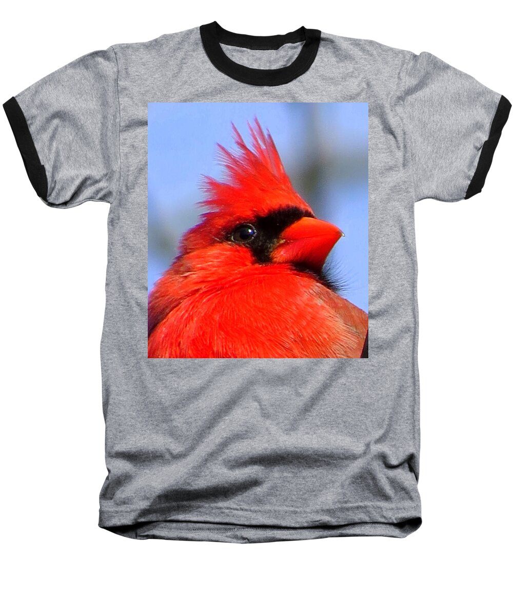 Seeing Red Baseball T-Shirt featuring the photograph Seeing Red by Suzanne DeGeorge
