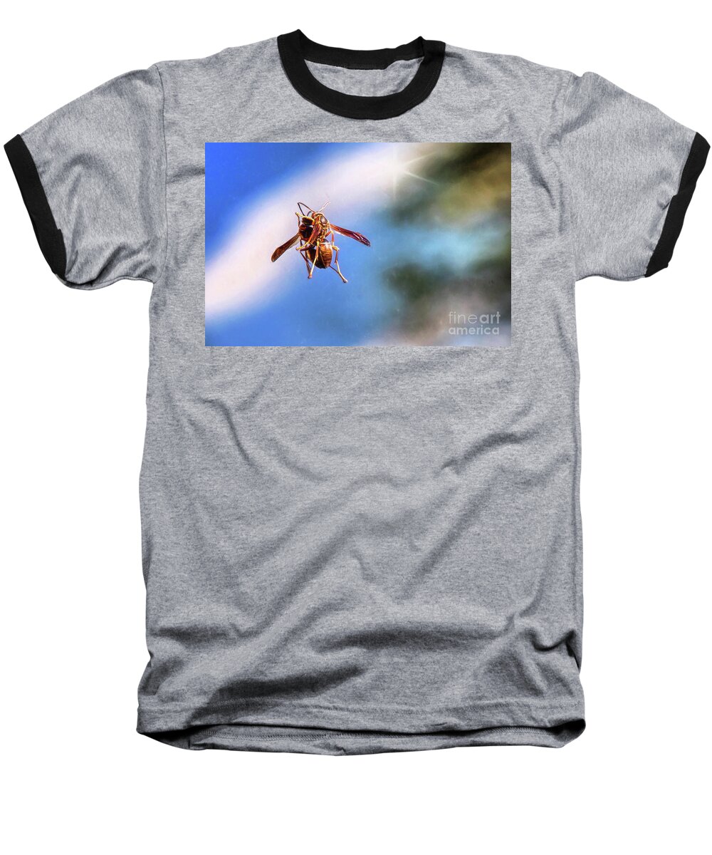 Wasp Baseball T-Shirt featuring the photograph Self Reflection by Sharon McConnell