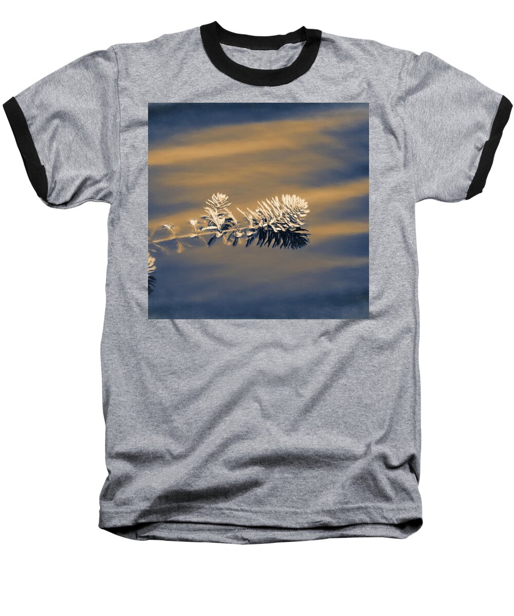 Water Baseball T-Shirt featuring the photograph Set Apart by Carolyn Marshall