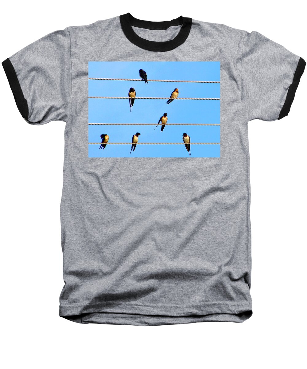 Swallow Baseball T-Shirt featuring the photograph Seven Swallows by Ana Maria Edulescu