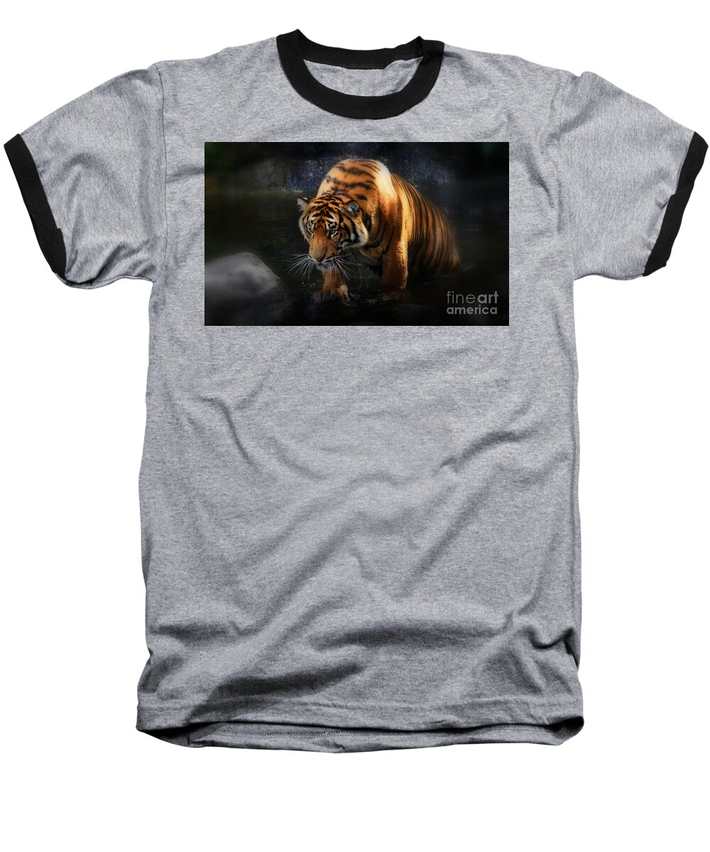 Animals Baseball T-Shirt featuring the photograph Shadows and Light by Kym Clarke