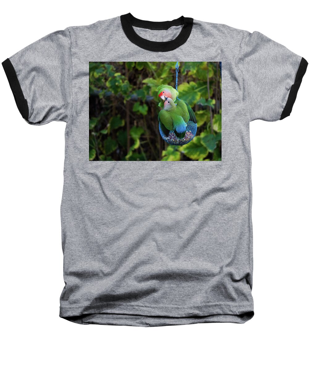 Orcinus Fotograffy Baseball T-Shirt featuring the photograph REAL Lovebirds by Kimo Fernandez