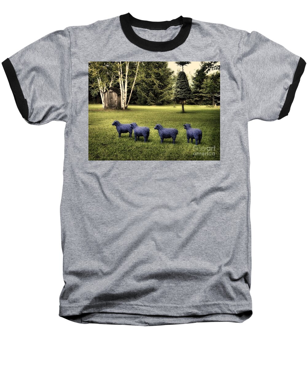 Sheep Baseball T-Shirt featuring the photograph Sheep in a Row by Andrea Kollo