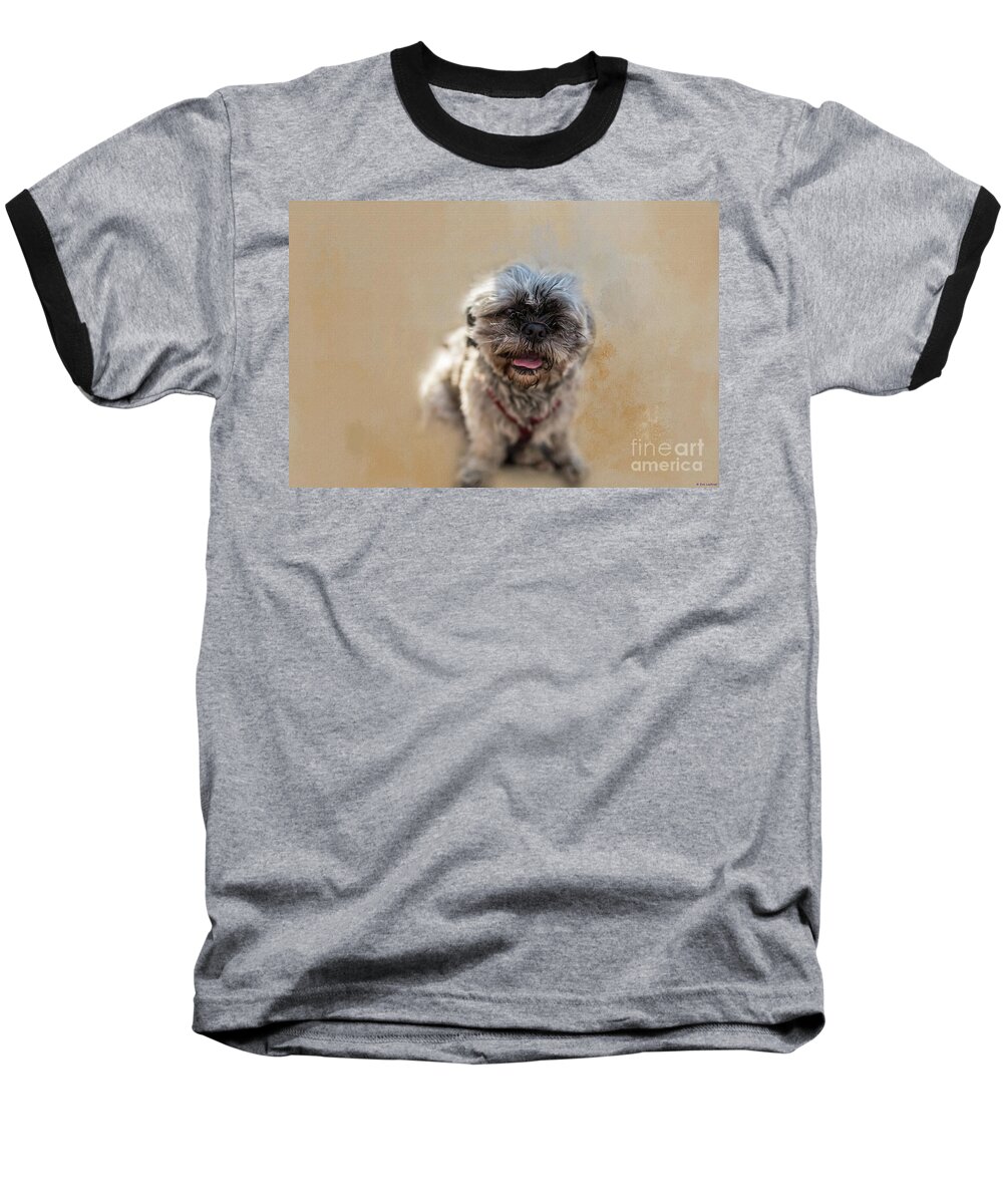 Shih Tzu Baseball T-Shirt featuring the photograph Shih Tzu by Eva Lechner