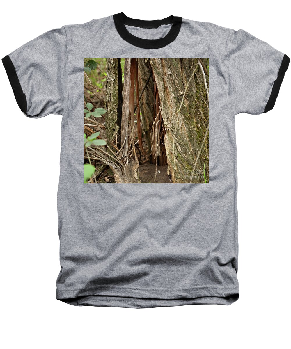Anderson River Park Baseball T-Shirt featuring the photograph Shredded Tree by Carol Lynn Coronios