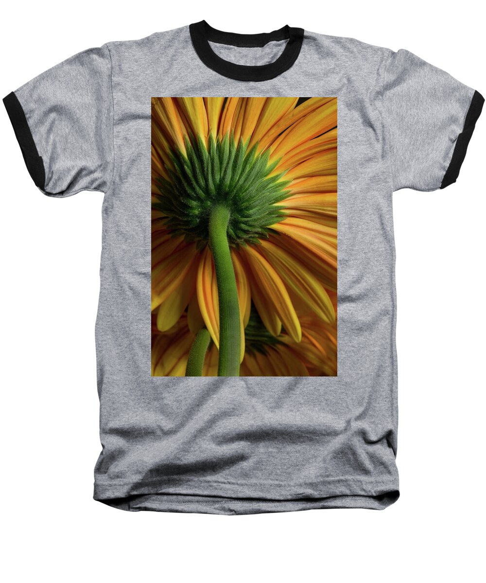 Flower Baseball T-Shirt featuring the photograph Shy Daisies by Bob Cournoyer