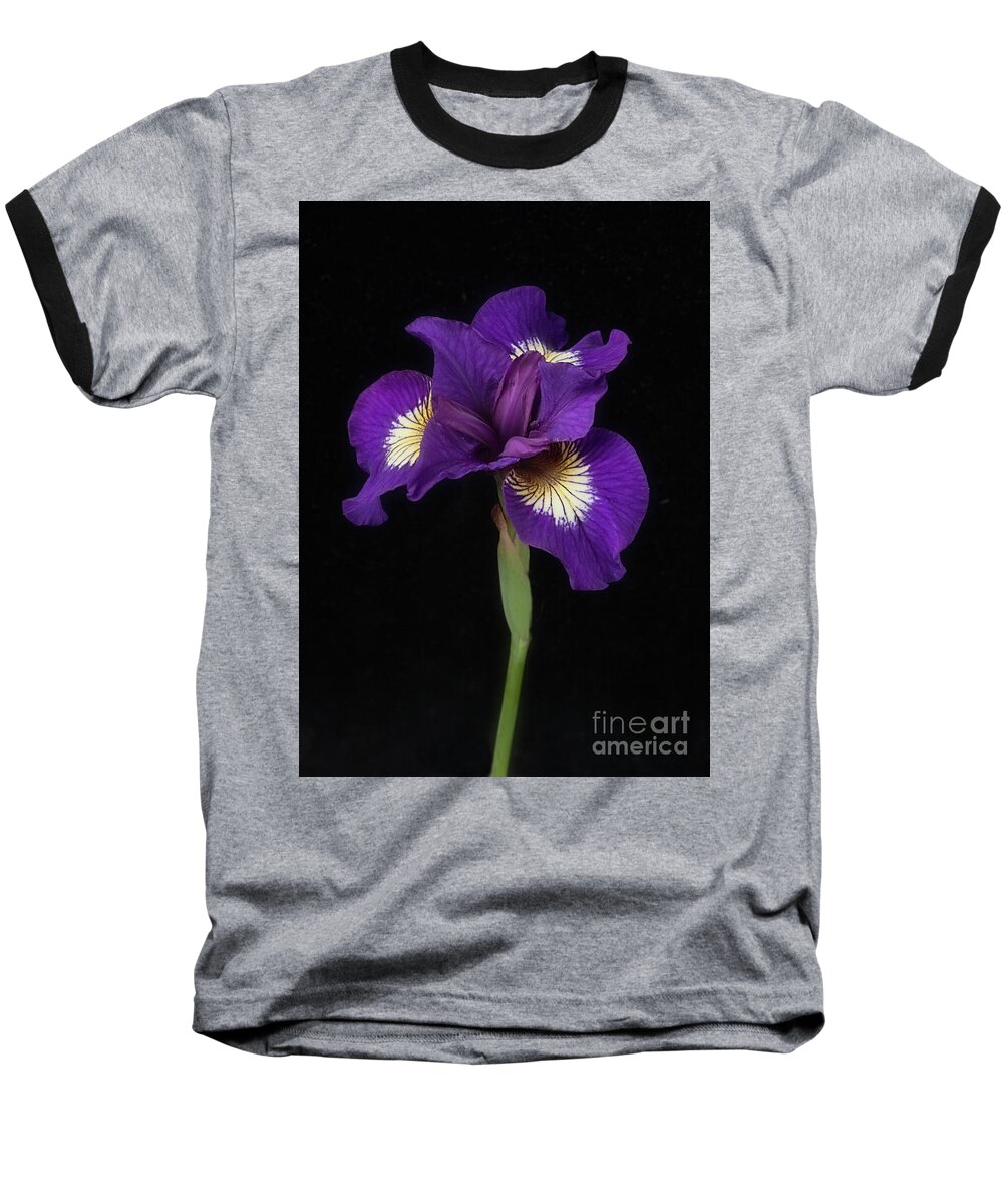Flower Baseball T-Shirt featuring the photograph Siberian Iris by Ann Jacobson