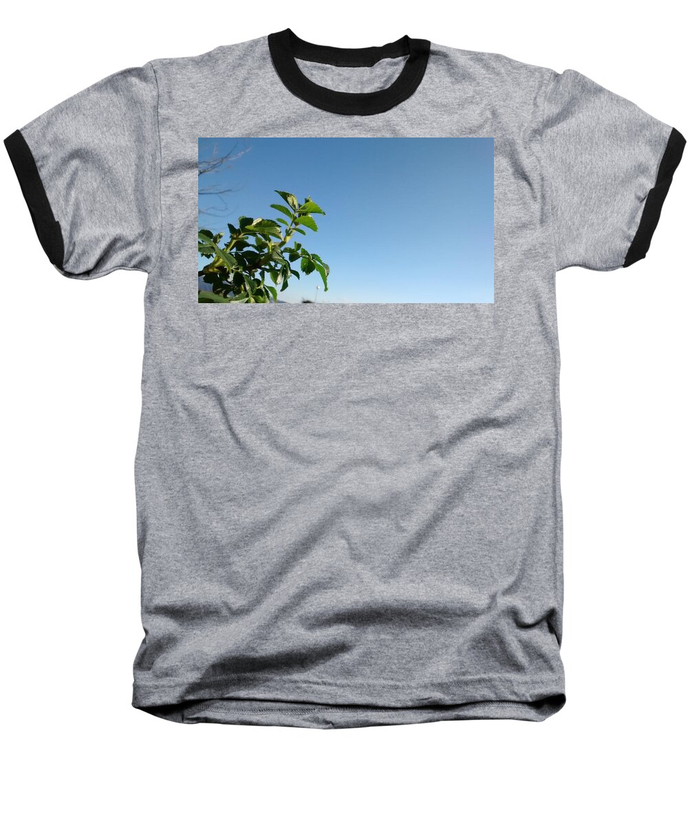 Landscape Baseball T-Shirt featuring the photograph Simple Prosperity II by Nieve Andrea