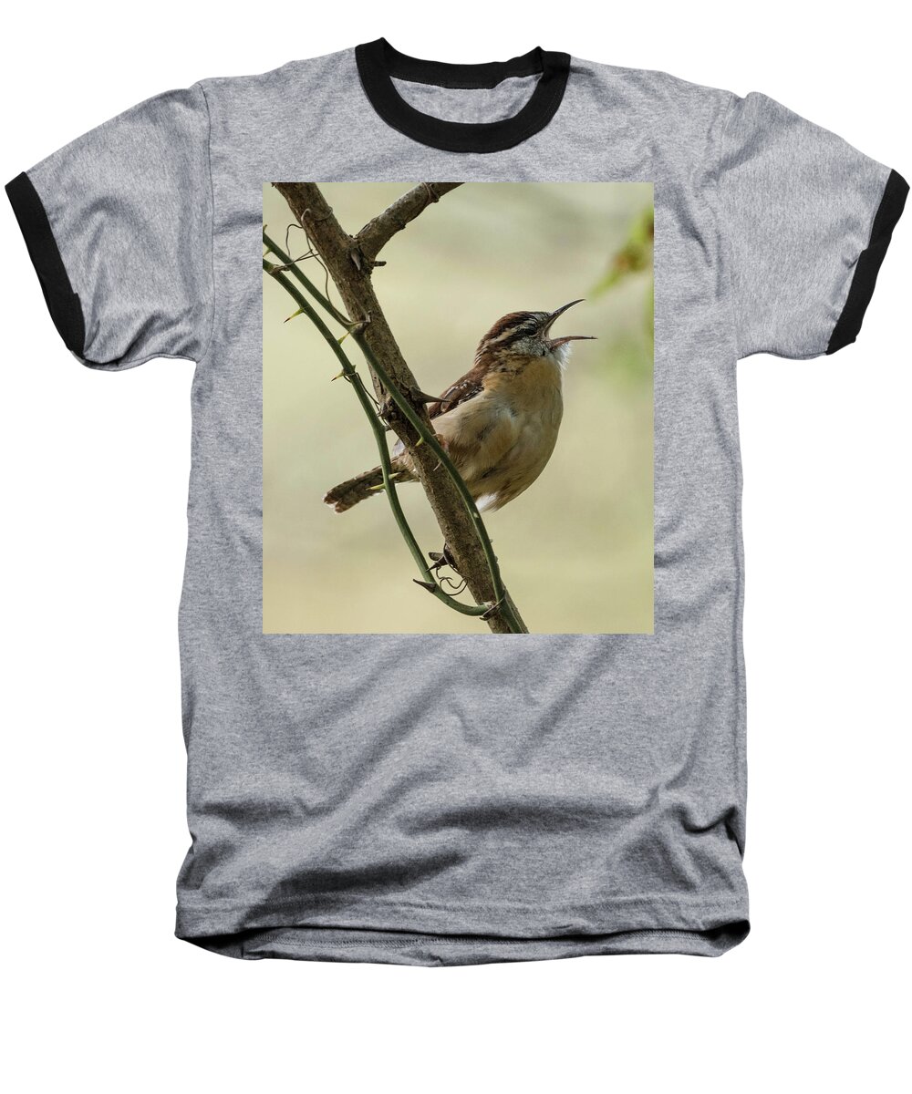 Bird Baseball T-Shirt featuring the photograph Sing a New Song by Jody Partin
