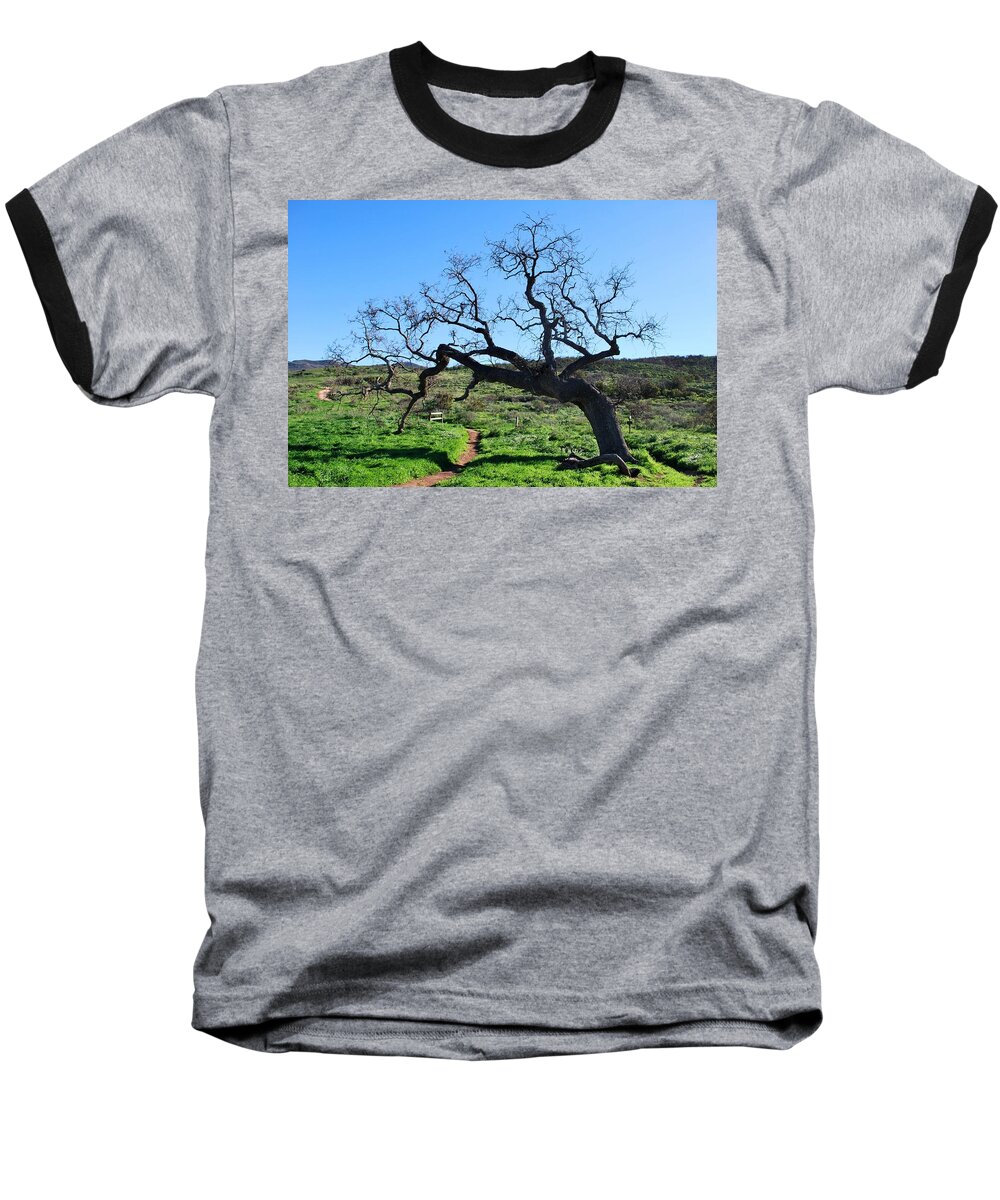 Tree Baseball T-Shirt featuring the photograph Single Tree Over Narrow Path by Matt Quest