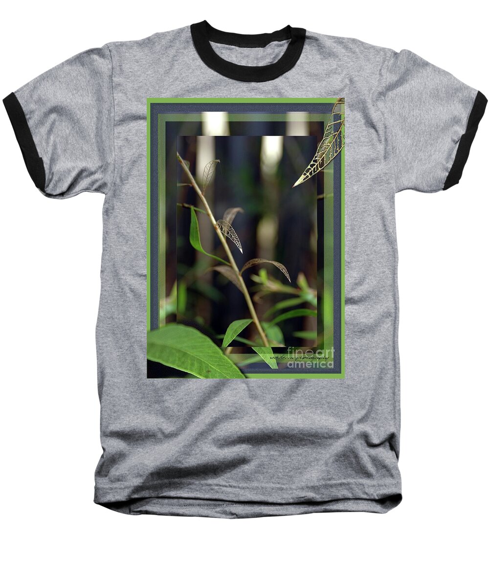 Leaves Baseball T-Shirt featuring the photograph Skeletons and Skin by Vicki Ferrari