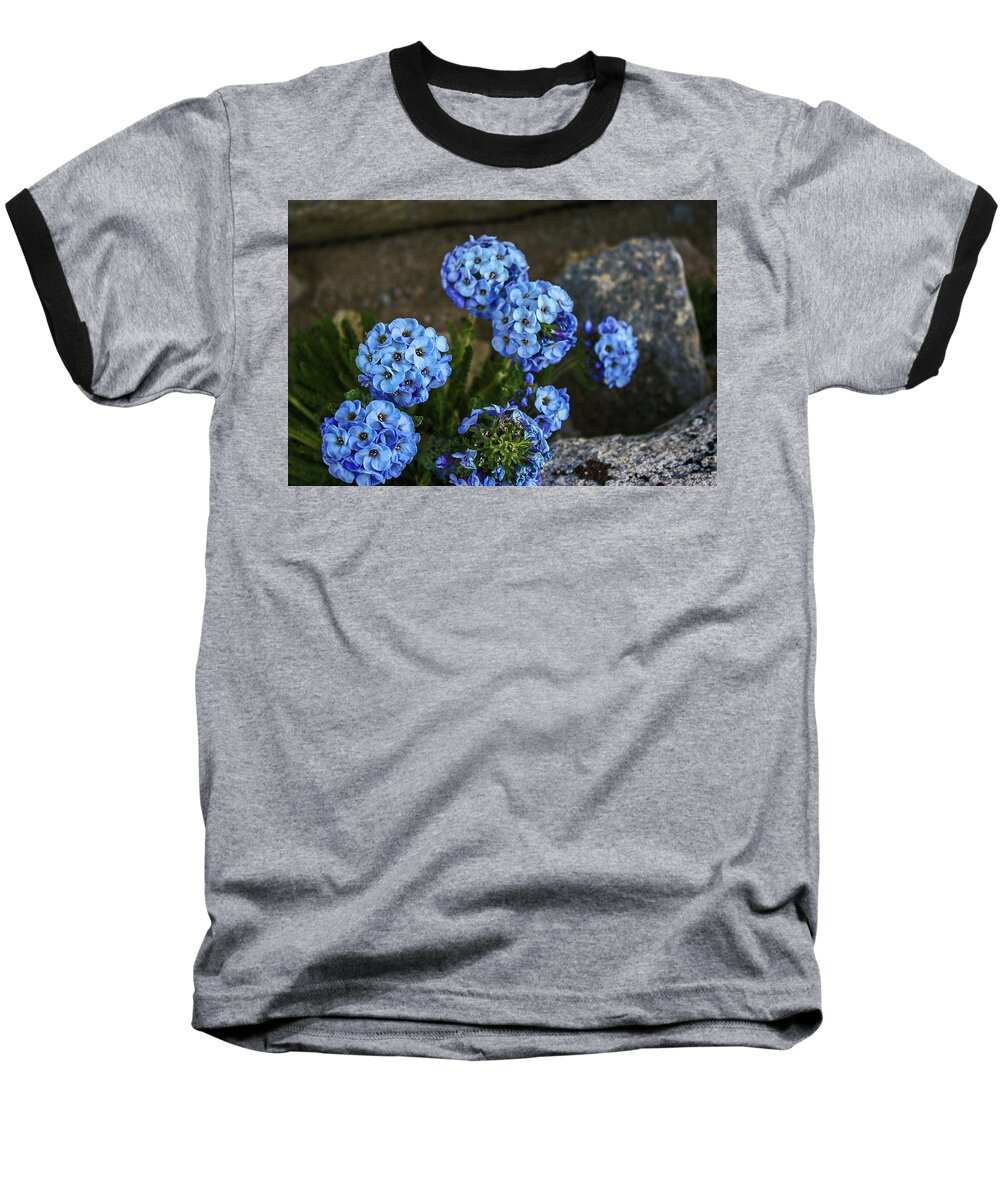 Mountain Flora Baseball T-Shirt featuring the photograph Sky Pilot, How High Can You Fly by Doug Scrima