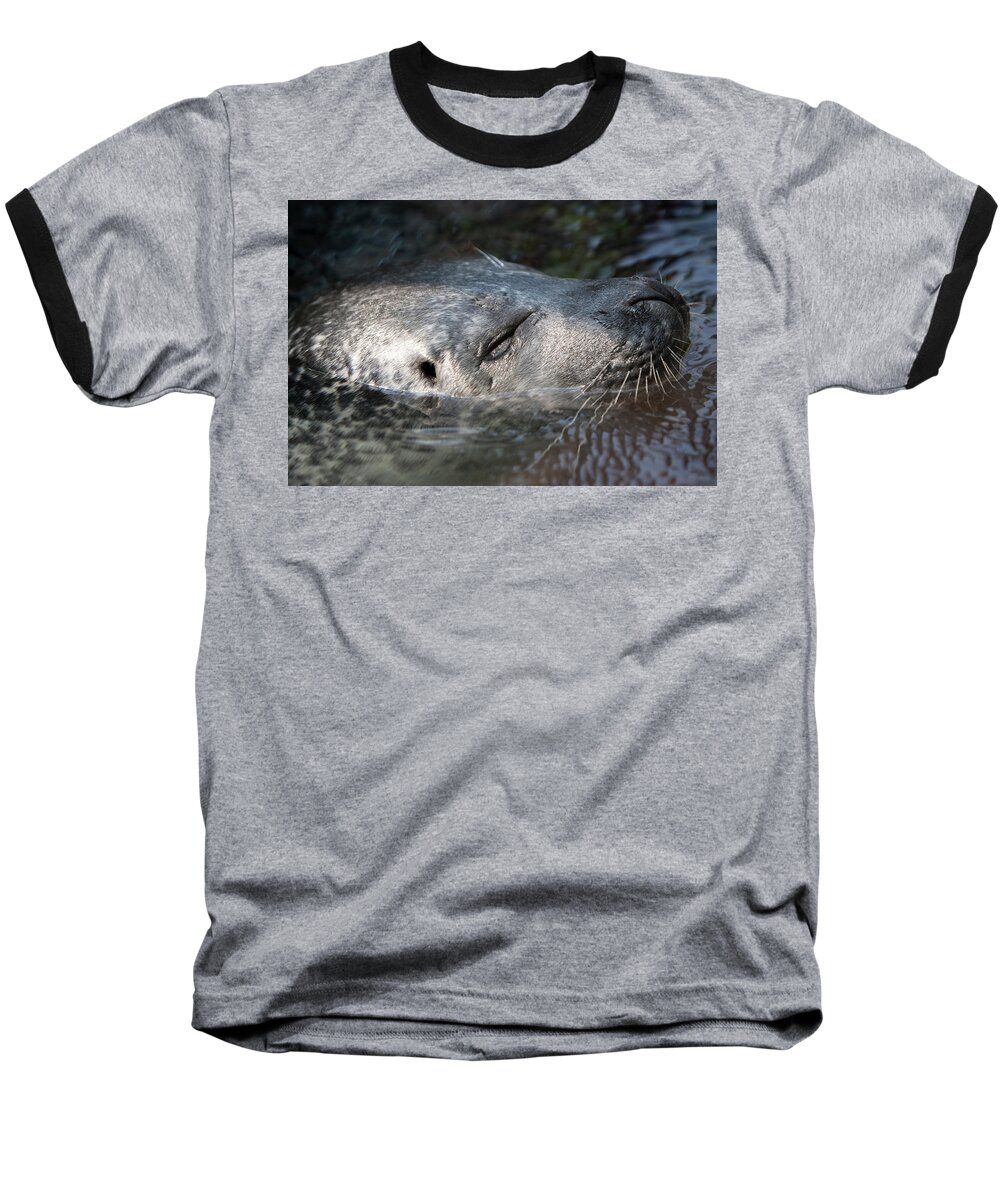 Sea Baseball T-Shirt featuring the photograph Sleeping Sea Lion by Jason Hughes
