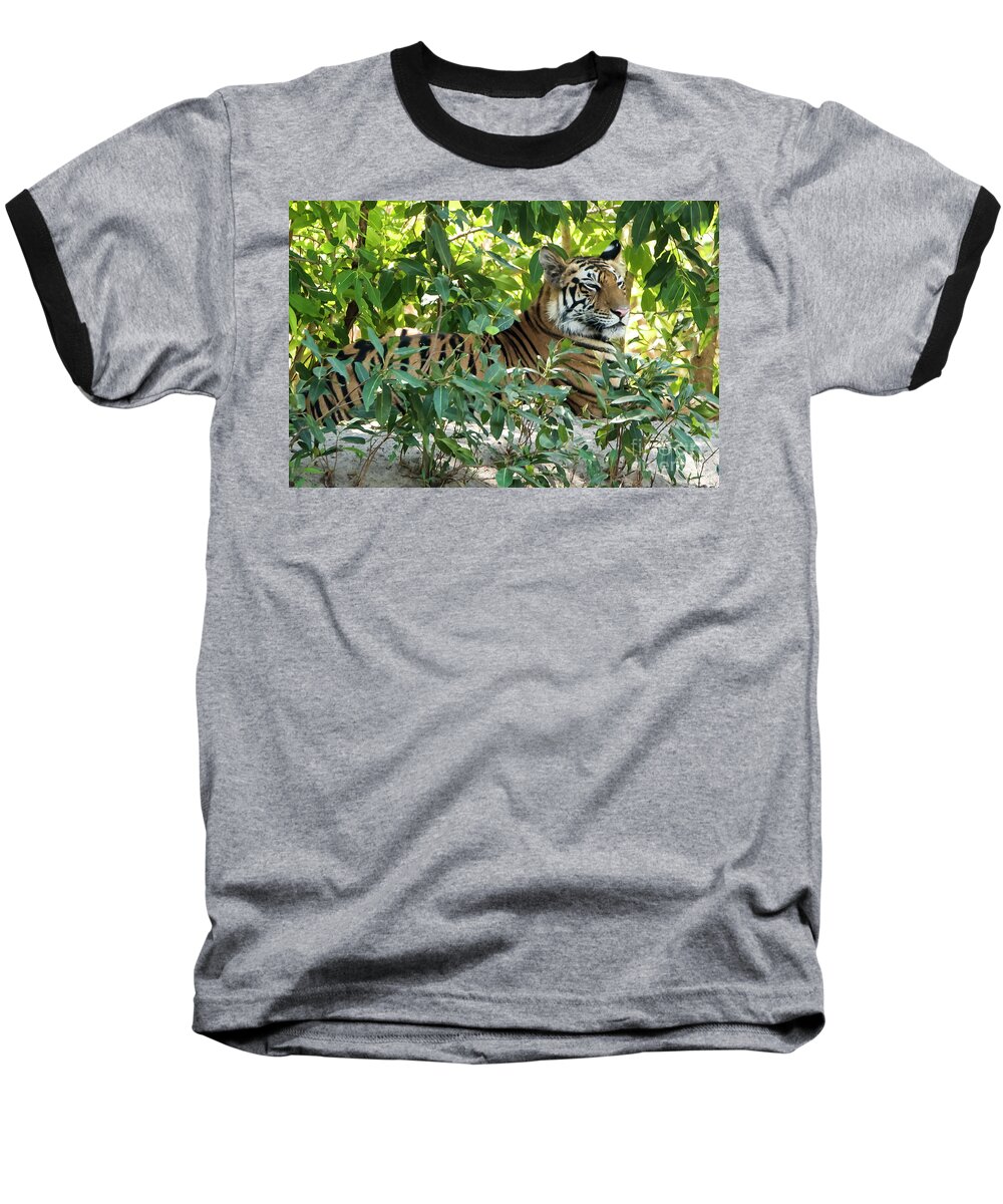  Tiger Baseball T-Shirt featuring the photograph Sleepy Cat by Pravine Chester
