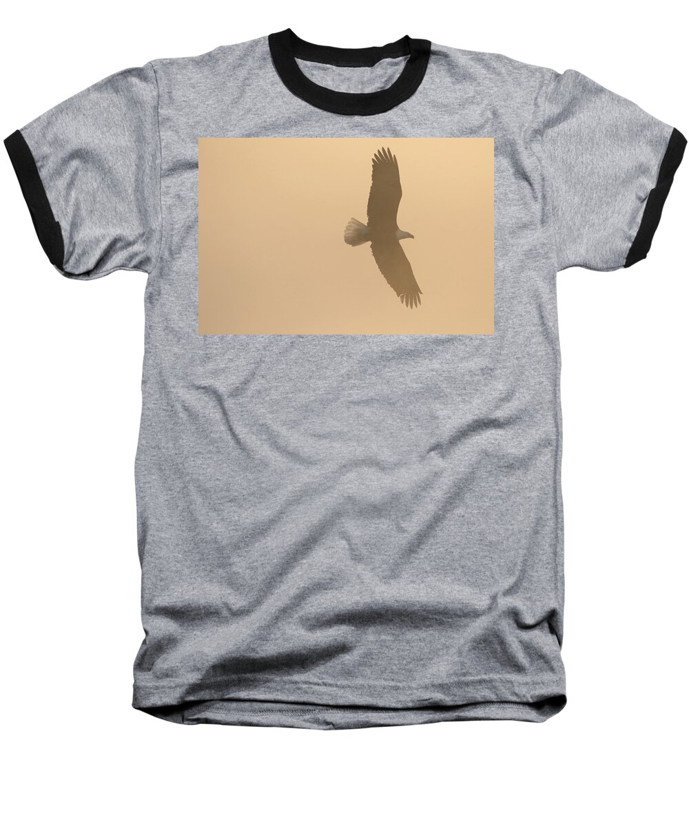 Eagle Baseball T-Shirt featuring the photograph Slicing Through The Fog by Brook Burling