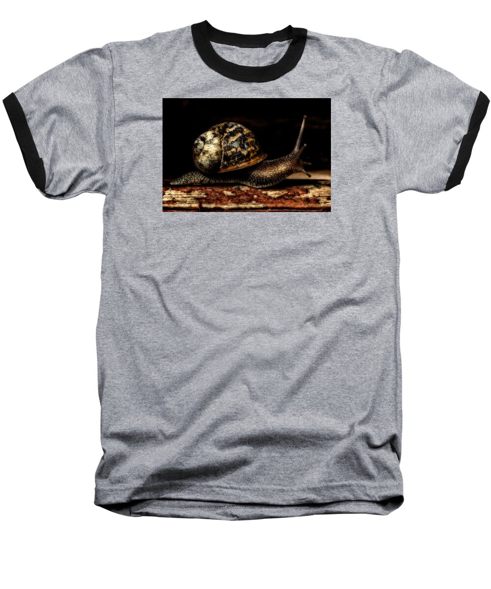 Birds & Animals Baseball T-Shirt featuring the photograph Slow Mover by Nick Bywater