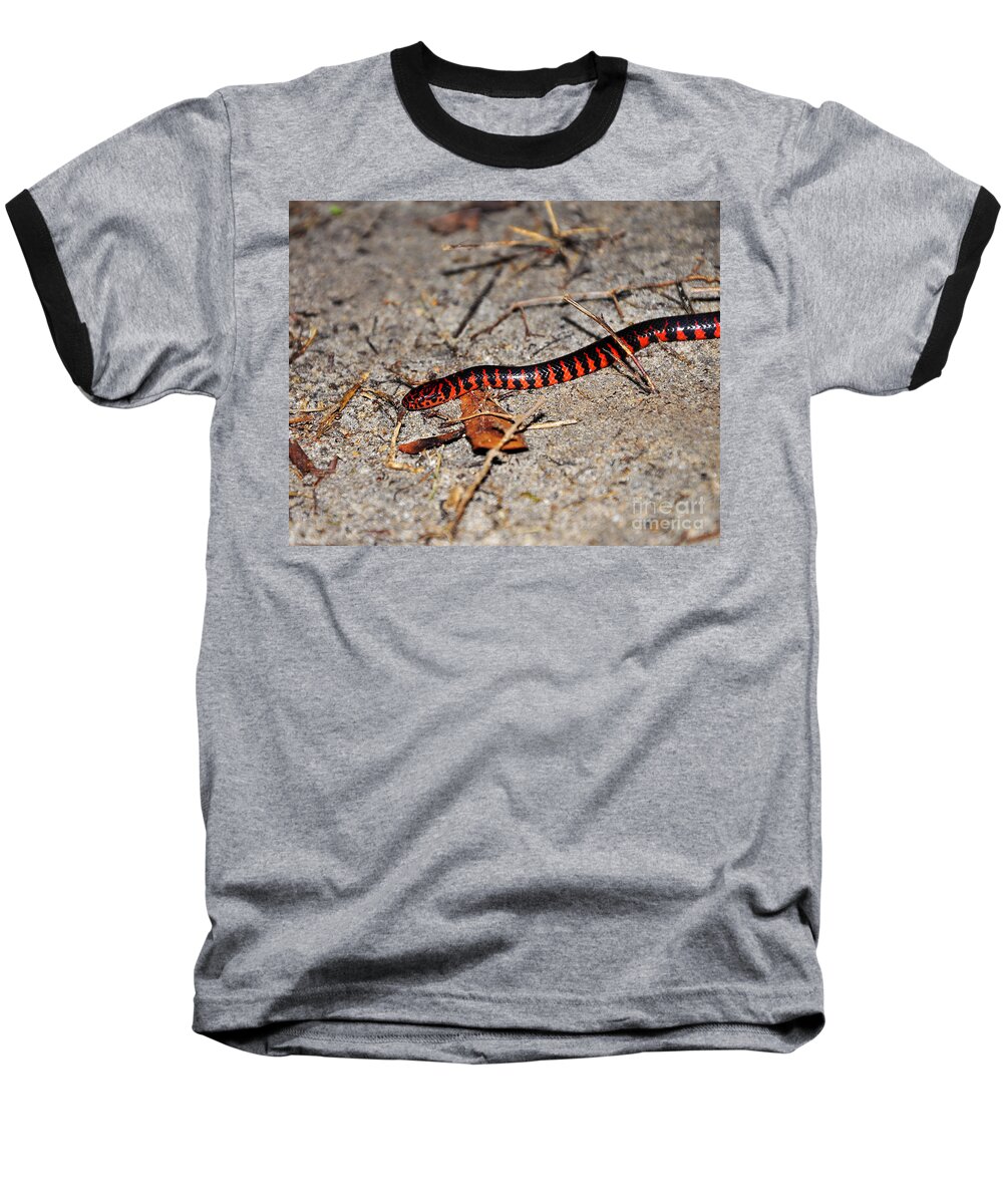 Snake Baseball T-Shirt featuring the photograph Snazzy Snake by Al Powell Photography USA