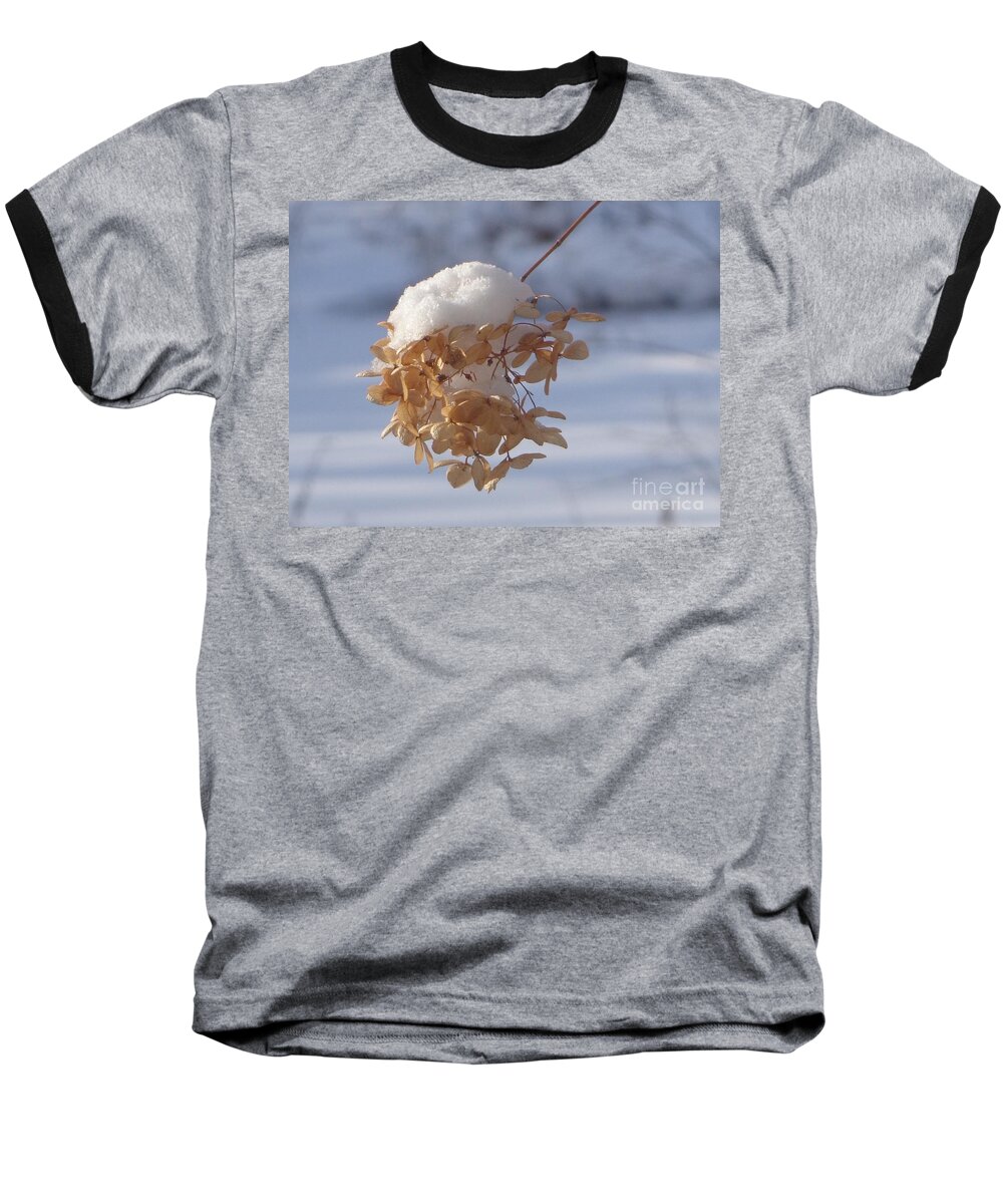 Flower Baseball T-Shirt featuring the photograph Snow-capped II by Christina Verdgeline