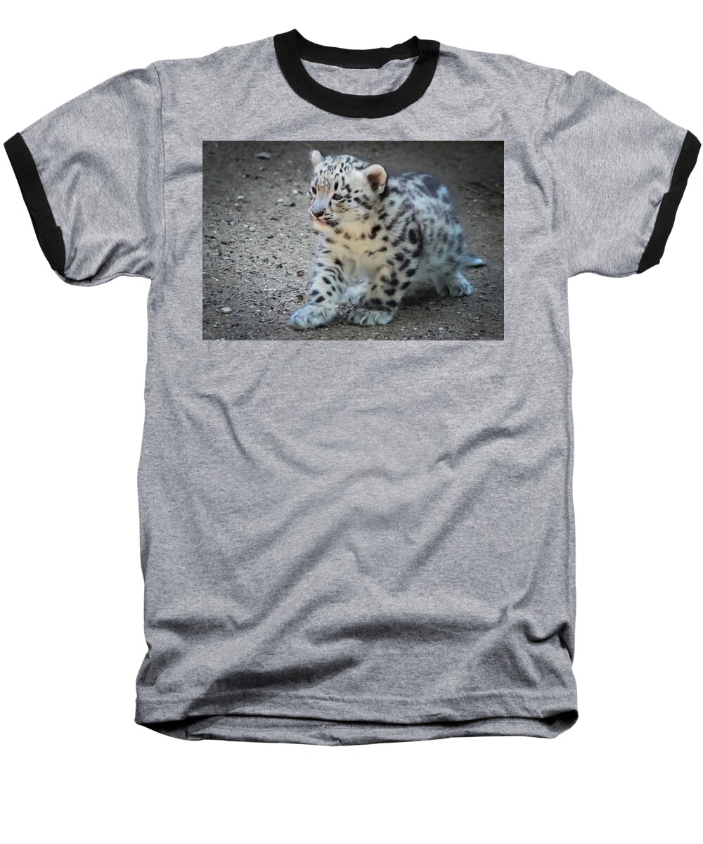 Terry D Photography Baseball T-Shirt featuring the photograph Snow Leopard Cub by Terry DeLuco