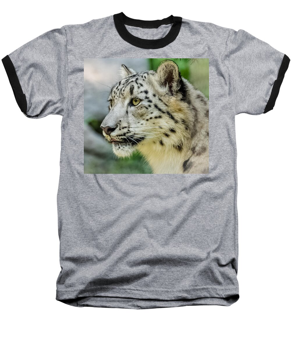 Snow Leopard Baseball T-Shirt featuring the photograph Snow Leopard Portrait by Yeates Photography