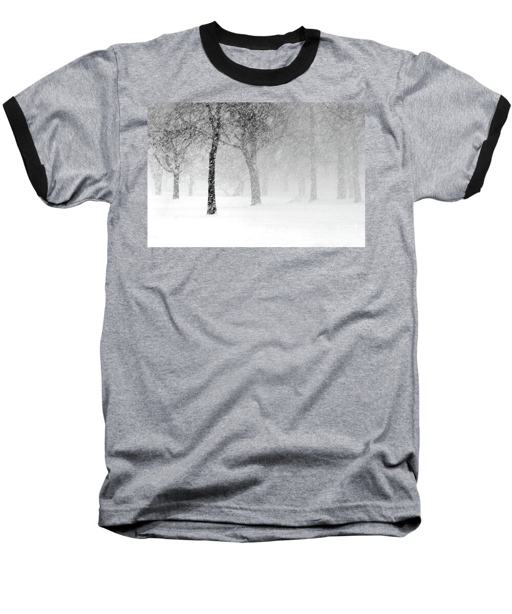 Snow Baseball T-Shirt featuring the photograph Snow Storm at Starved Rock by Paula Guttilla