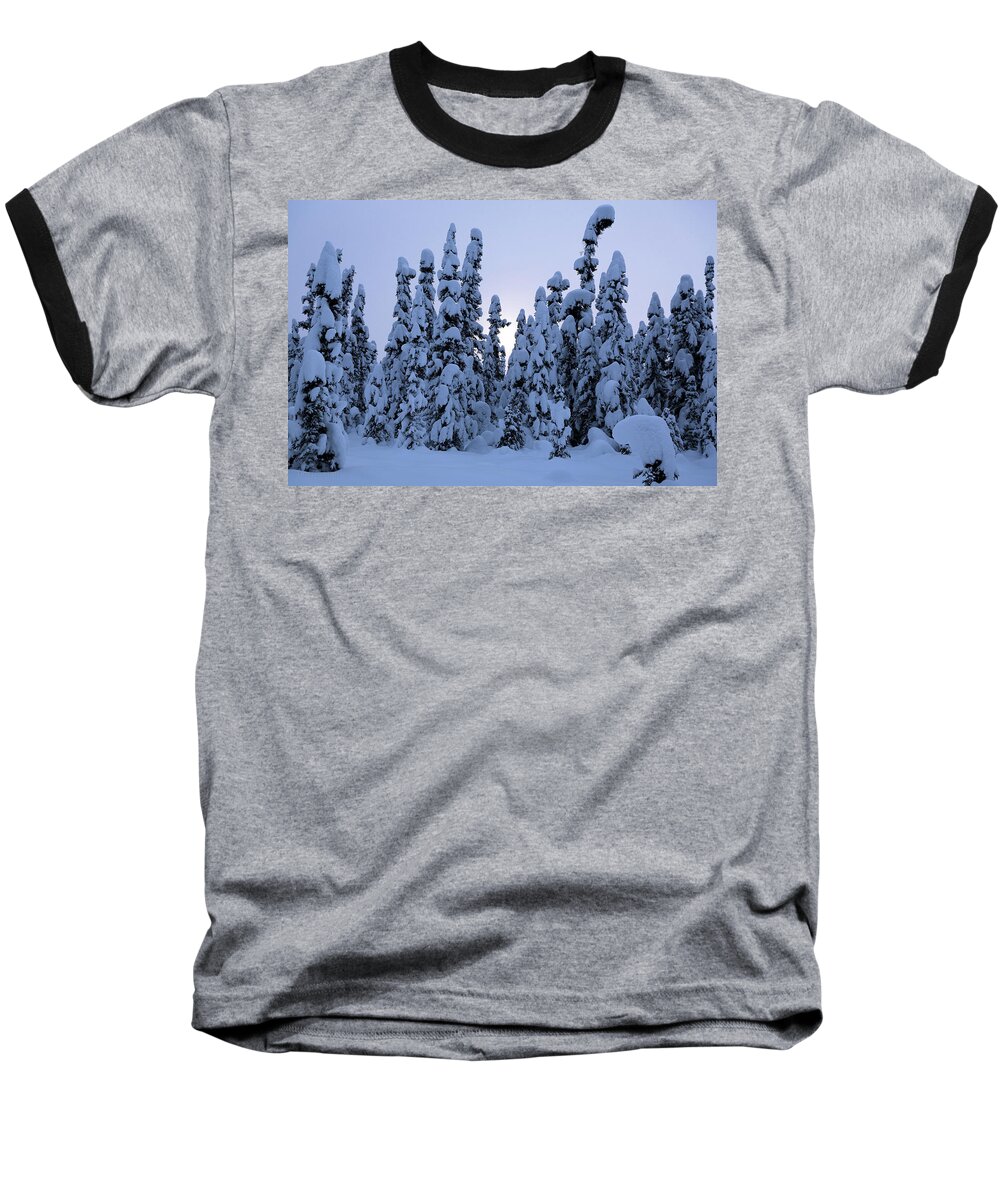 Alaska Baseball T-Shirt featuring the photograph Snowy Black Spruce by Tim Newton