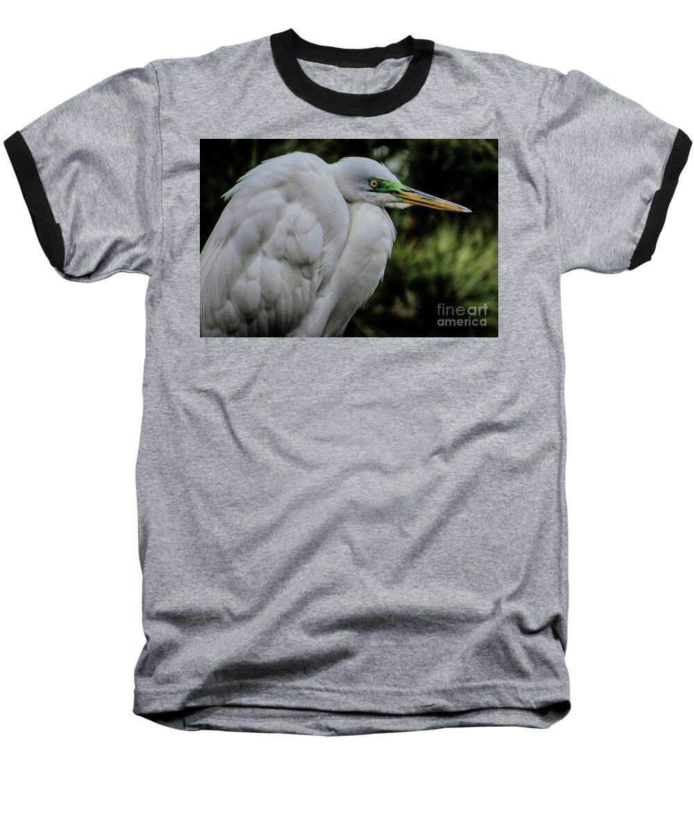 Egret Baseball T-Shirt featuring the photograph Snowy Egrets by Dawn Gari