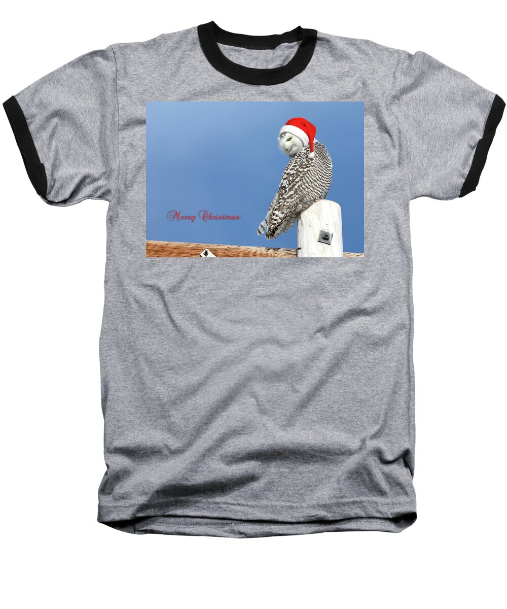 Snowy Owl Baseball T-Shirt featuring the photograph Snowy Owl Christmas Card by Everet Regal