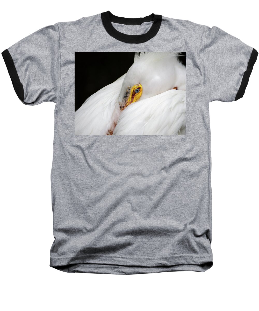 Beak Baseball T-Shirt featuring the photograph Snuggled White Pelican by Penny Lisowski