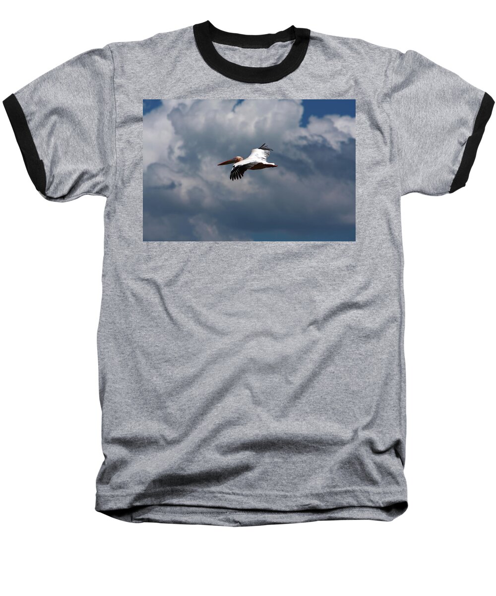 Birds Baseball T-Shirt featuring the photograph Soaring High by Aidan Moran