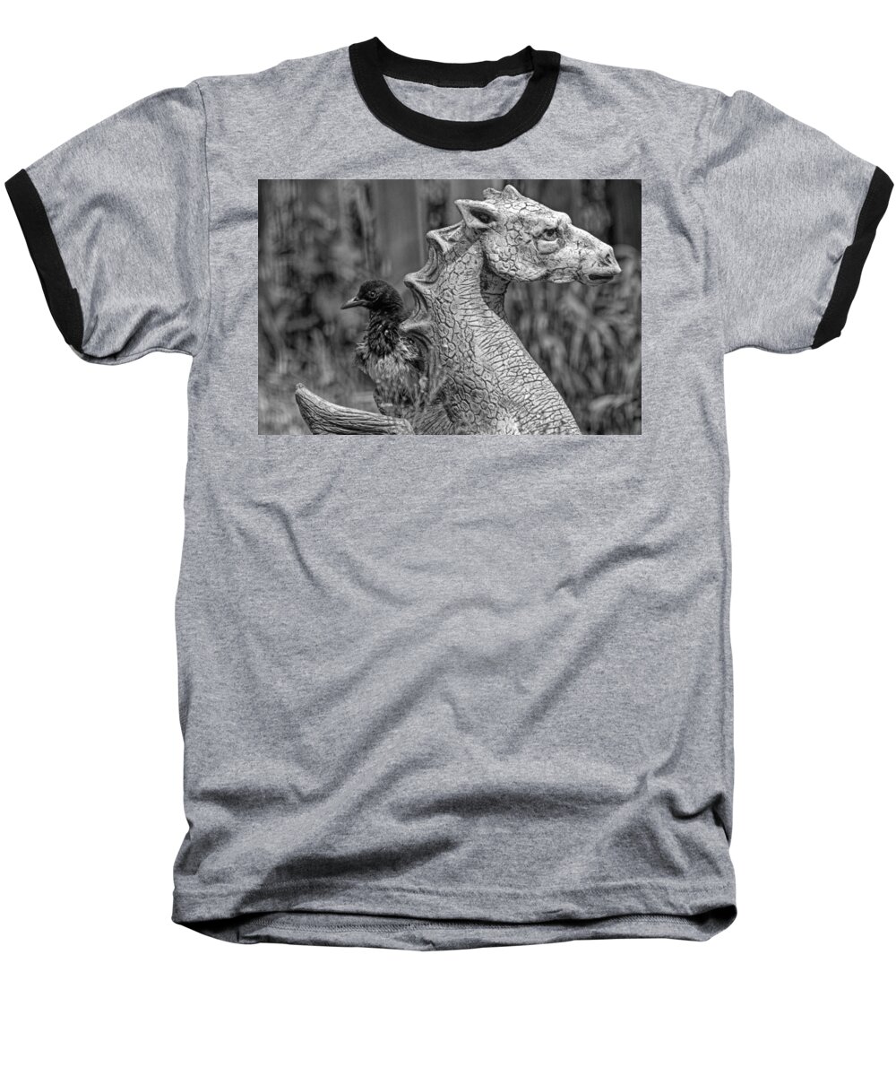 Magpie Baseball T-Shirt featuring the photograph Some day I... by Alana Thrower