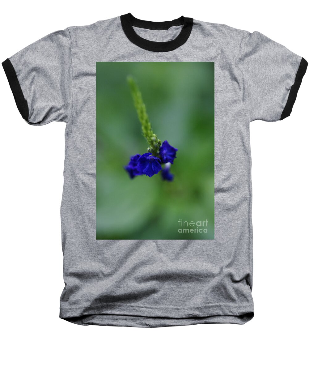 Floral Baseball T-Shirt featuring the photograph Somewhere In This Dream by Linda Shafer