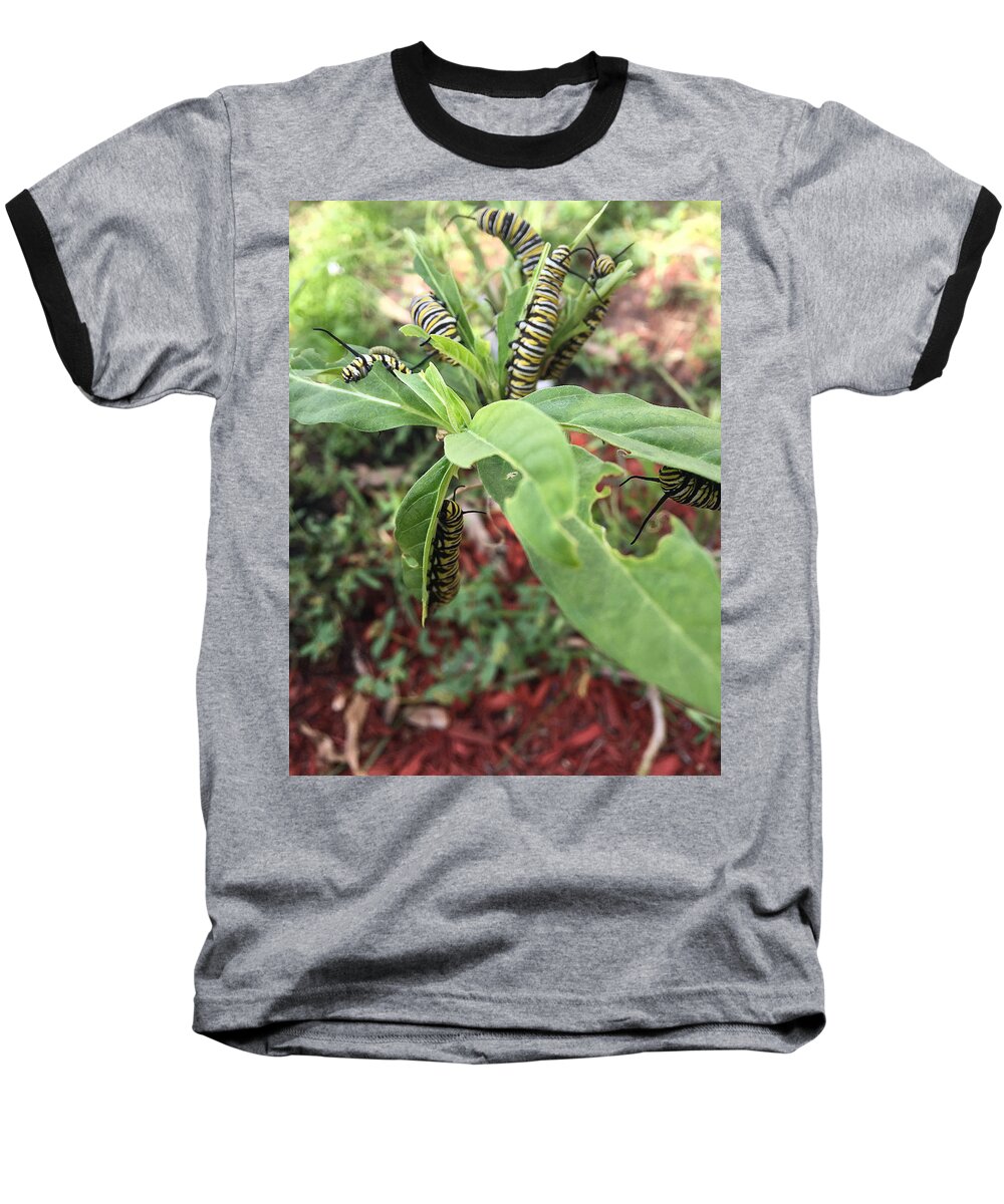 Nature Baseball T-Shirt featuring the photograph Soon to Change by Audrey Robillard