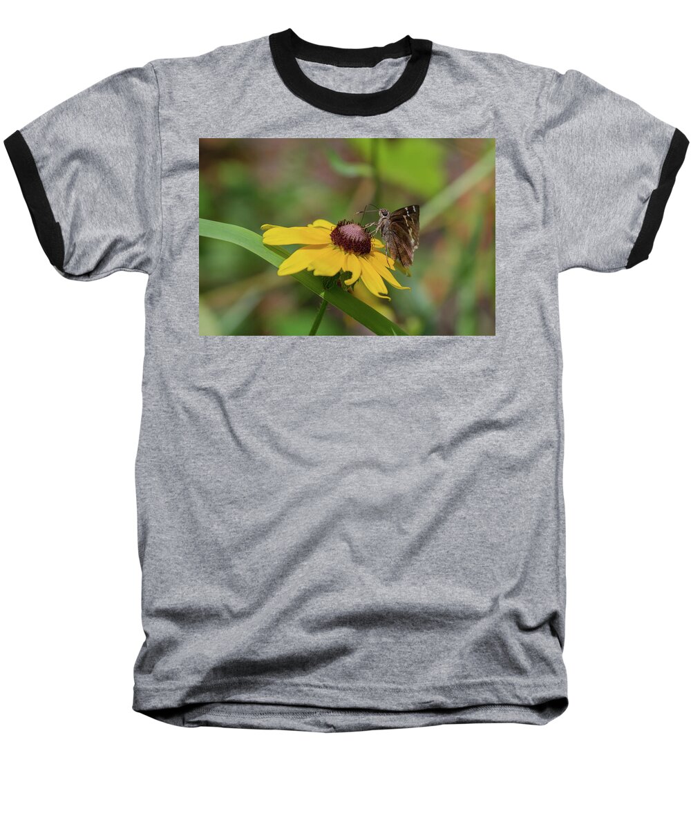 Butterfly Baseball T-Shirt featuring the photograph Southern Cloudywing on Blackeyed Susan by Paul Rebmann