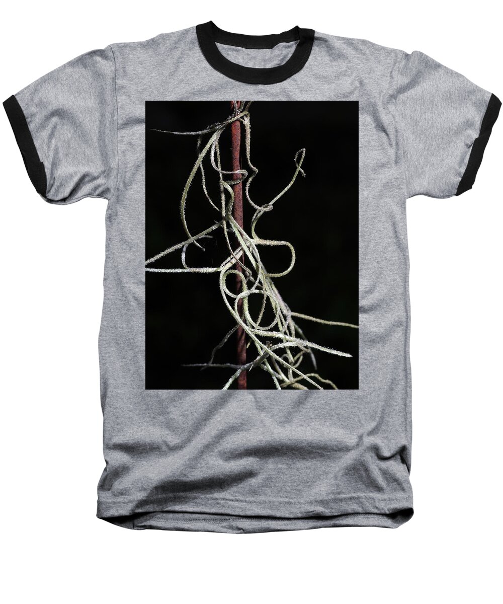 Abstract Baseball T-Shirt featuring the photograph Spanish Moss on Wire by Richard Rizzo
