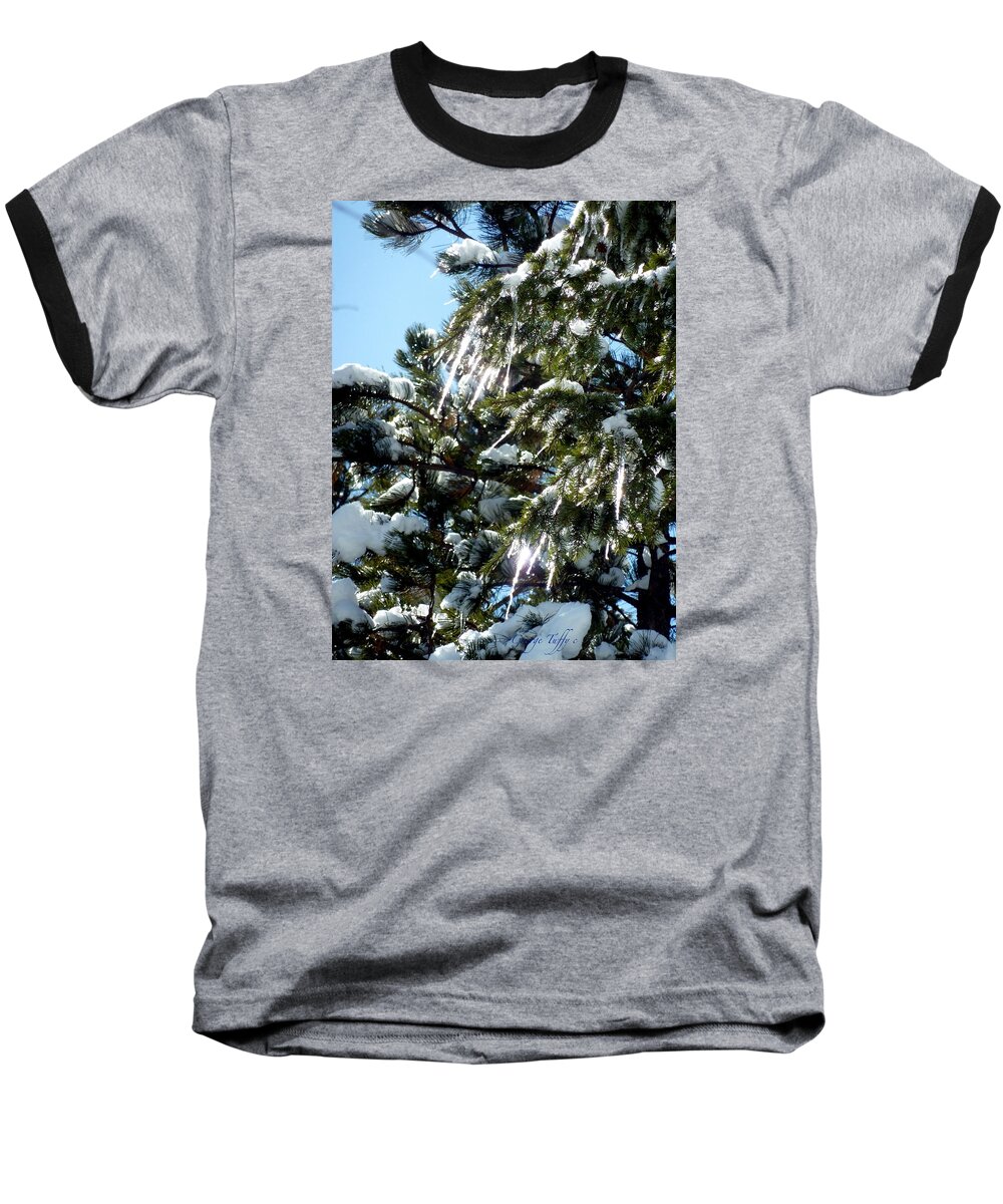 Tree Icicles Nature Pines Colorado Winter Ice Rocky Mountains Sun Baseball T-Shirt featuring the photograph Sparkling icicles by George Tuffy