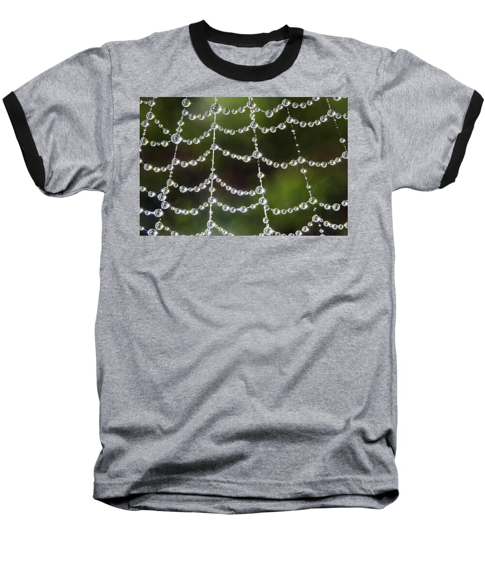 Spider Web Baseball T-Shirt featuring the photograph Spider web decorated by morning fog by William Lee