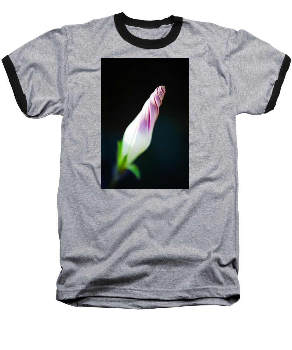Flowers Baseball T-Shirt featuring the photograph Spiral by Laura Roberts