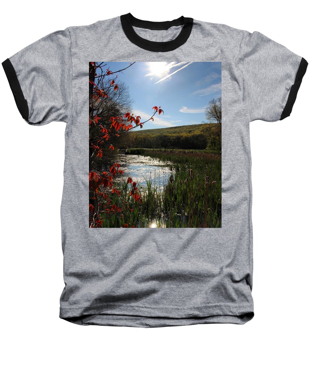 Landscape Baseball T-Shirt featuring the photograph Spring Awakening by Jason Nicholas