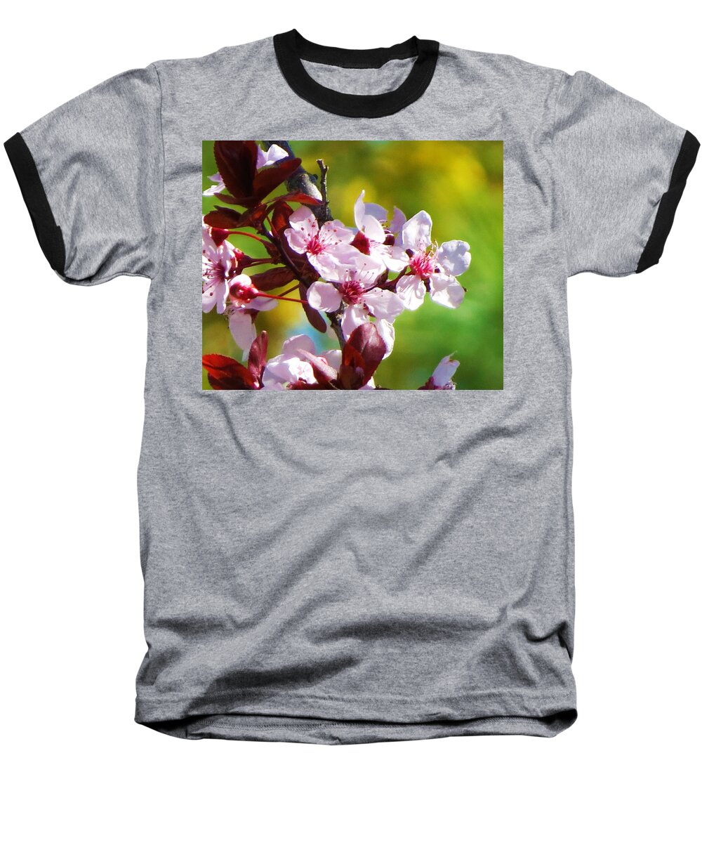 Flowers Baseball T-Shirt featuring the photograph Spring Cheer by Vijay Sharon Govender