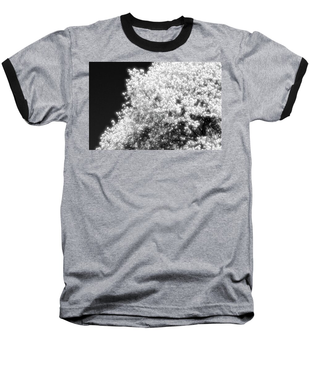 Black And White Baseball T-Shirt featuring the photograph Spring Day In Barrie Ontario Canada 2017-05-15 Two by Lyle Crump