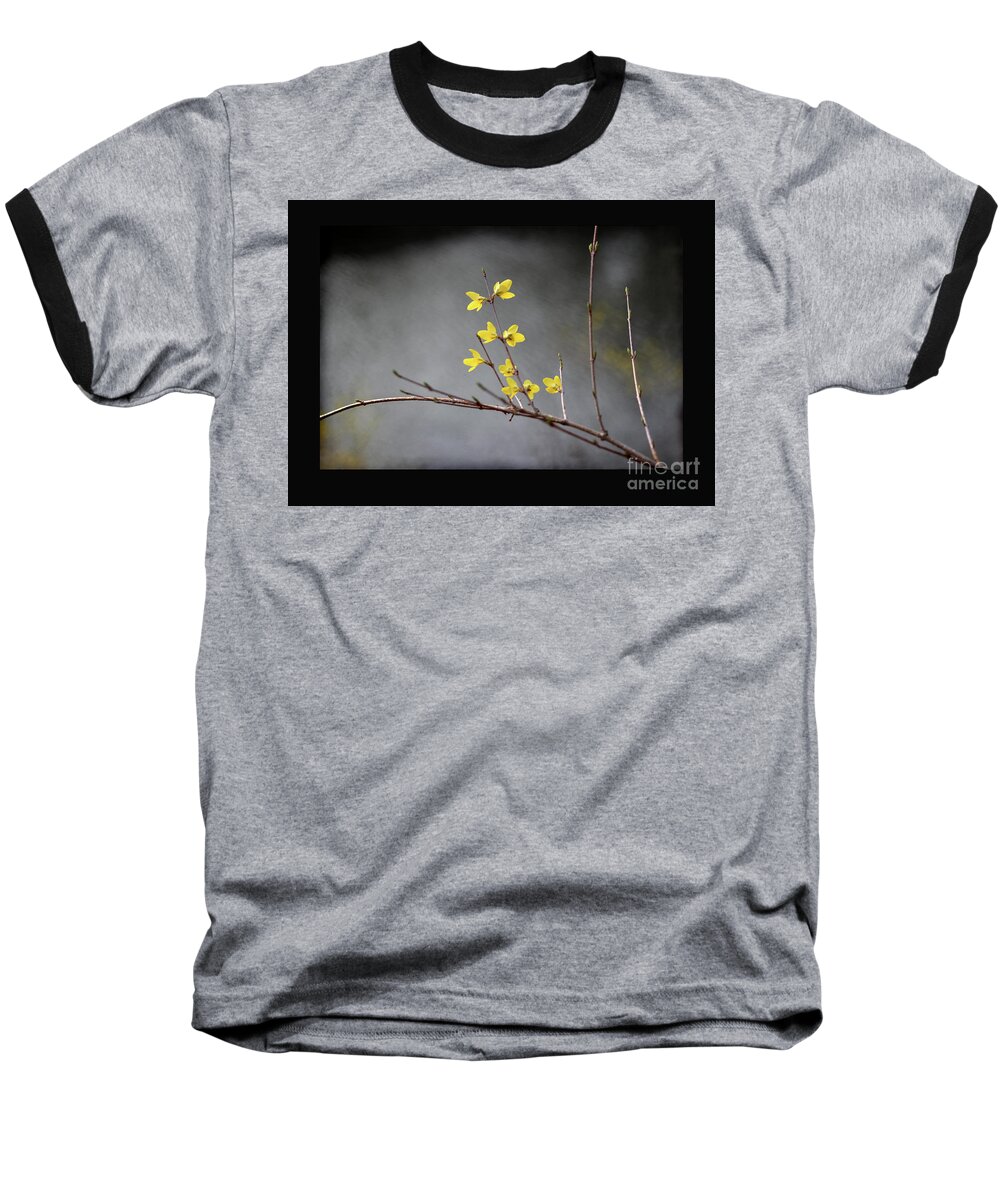 Flora Baseball T-Shirt featuring the photograph Spring Forsythia with Black Border by Karen Adams