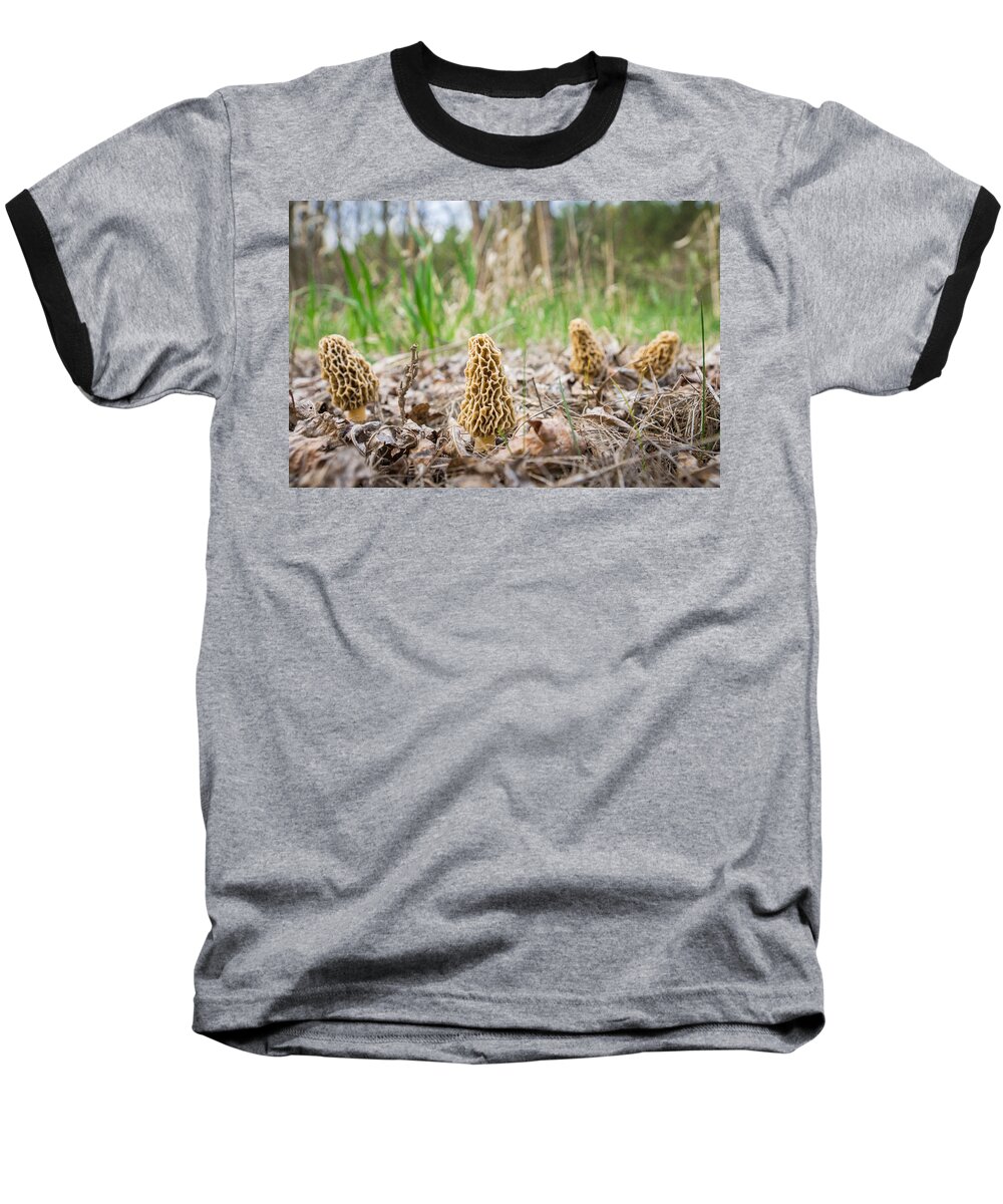 Forest Baseball T-Shirt featuring the photograph Spring Gathering by Bill Pevlor