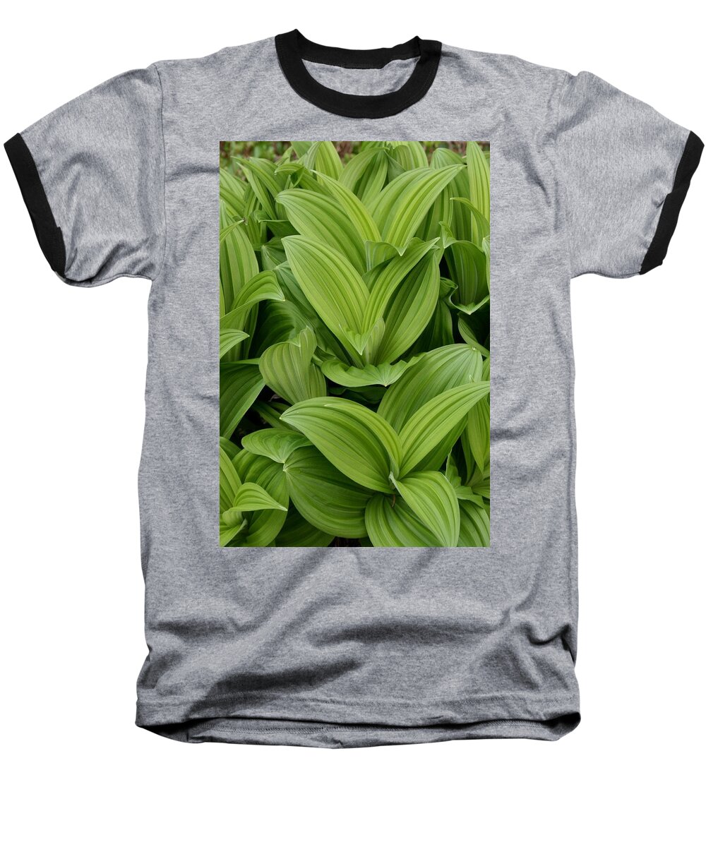 Plants Baseball T-Shirt featuring the photograph Spring Green by Angie Schutt